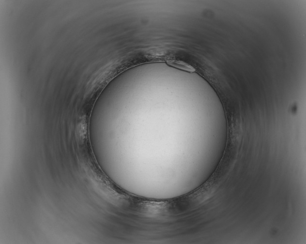 X0000116370085200912161448