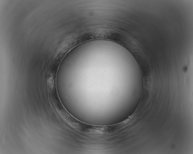 X0000116370086200912161448