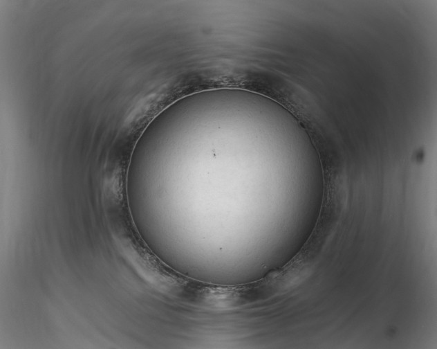 X0000116370088200912161448