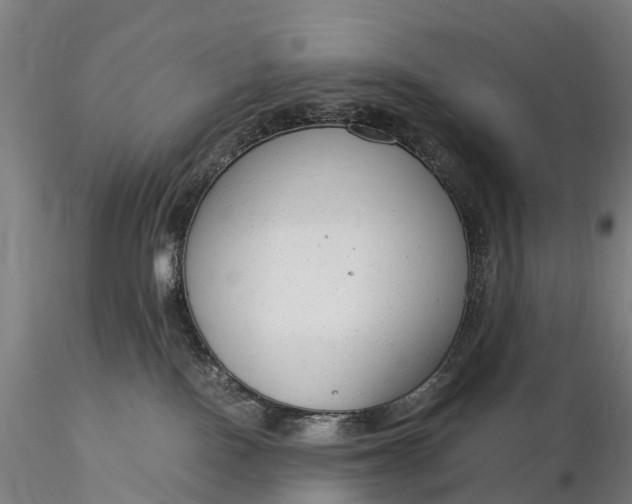 X0000116370090200912161448