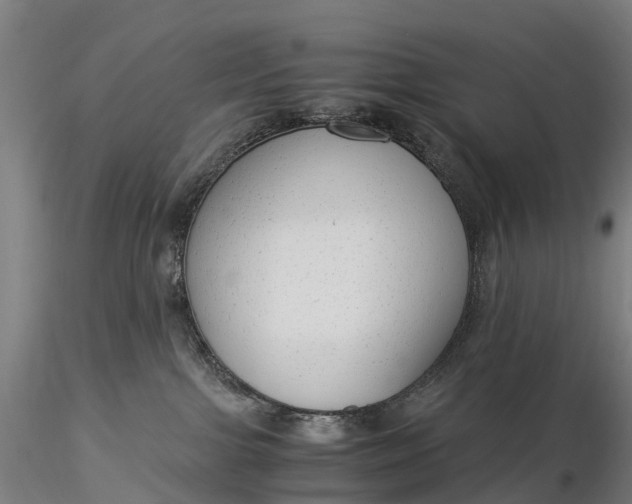 X0000116370091200912161448