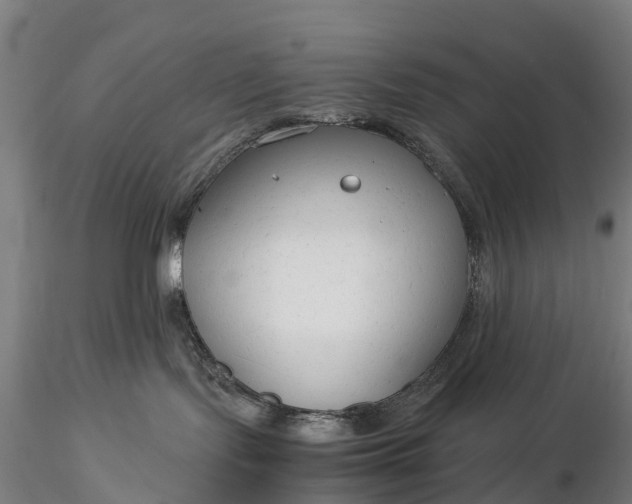 X0000116370095200912161448