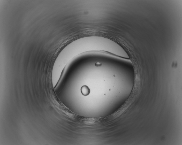 X0000116370096200912161448