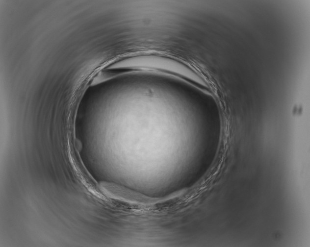 X0000116370097200912161447