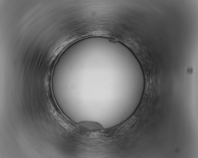 X0000116370098200912161447