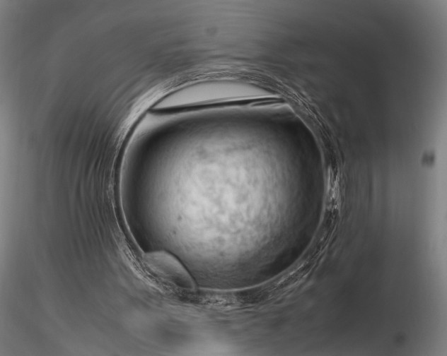 X0000116370099200912161447