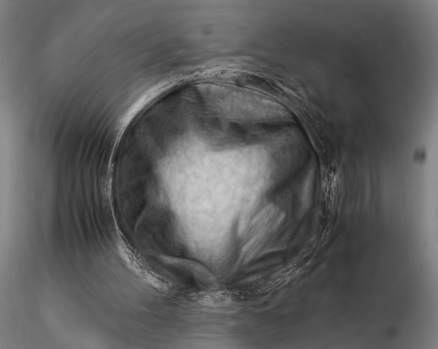 X0000116370100200912161447