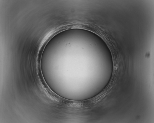 X0000116370102200912161447