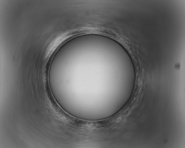 X0000116370103200912161447