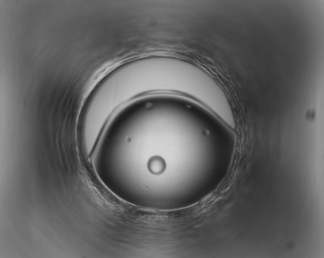 X0000116370104200912161447