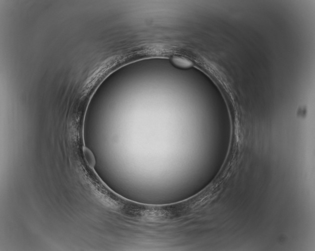 X0000116370105200912161447