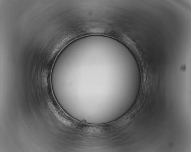 X0000116370106200912161447