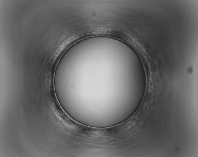 X0000116370107200912161447