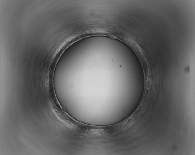 X0000116370108200912161447