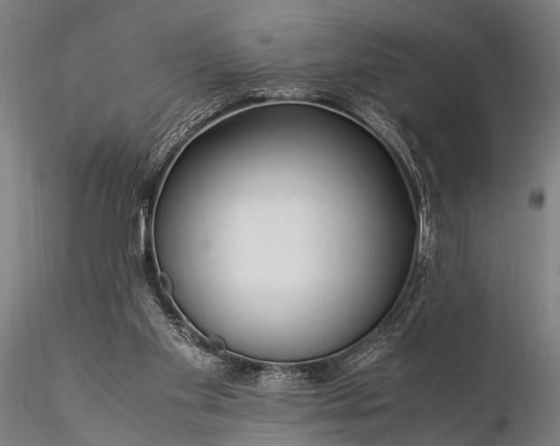 X0000116370109200912161447