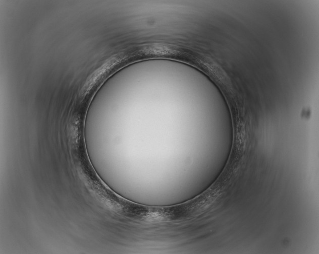 X0000116370111200912161447