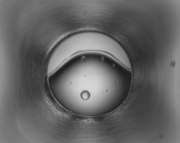 X0000116370112200912161447