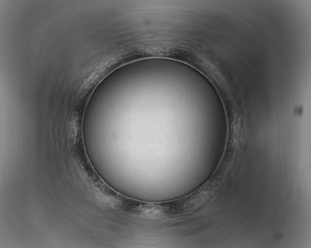 X0000116370113200912161447