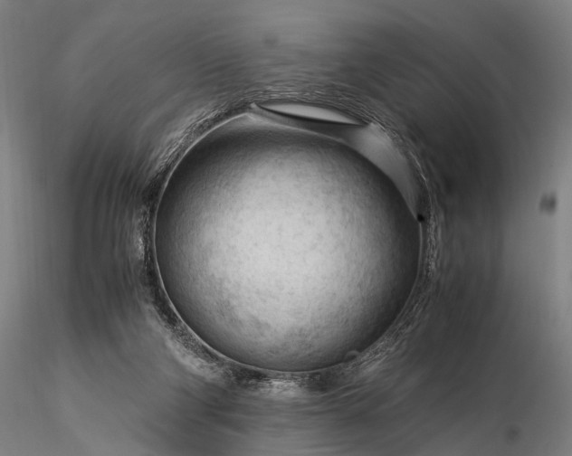 X0000116370114200912161447