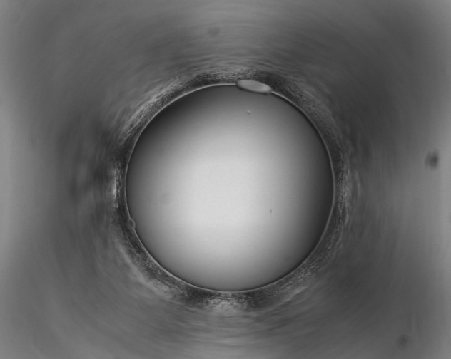 X0000116370115200912161447