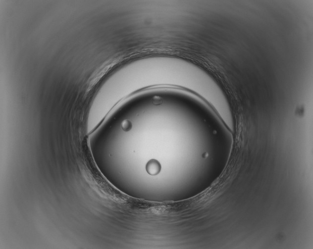 X0000116370116200912161447