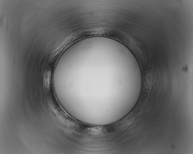 X0000116370118200912161447