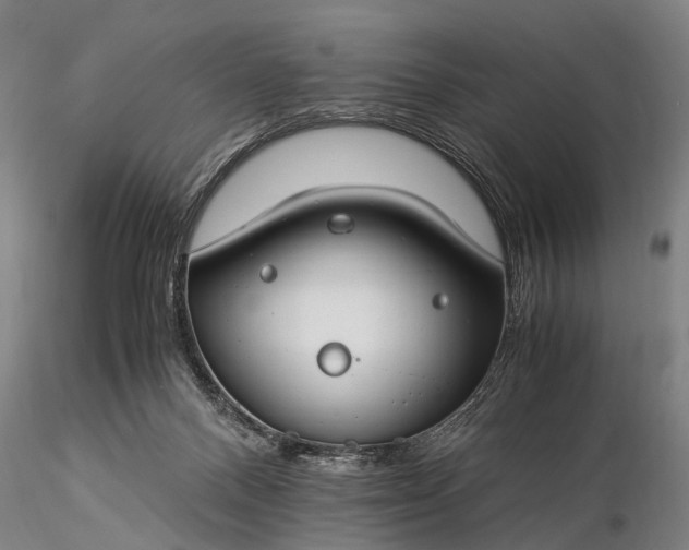 X0000116370120200912161447