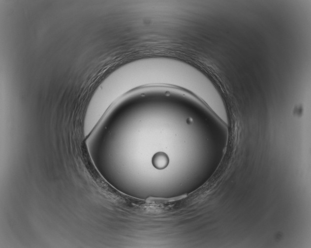 X0000116370121200912161447