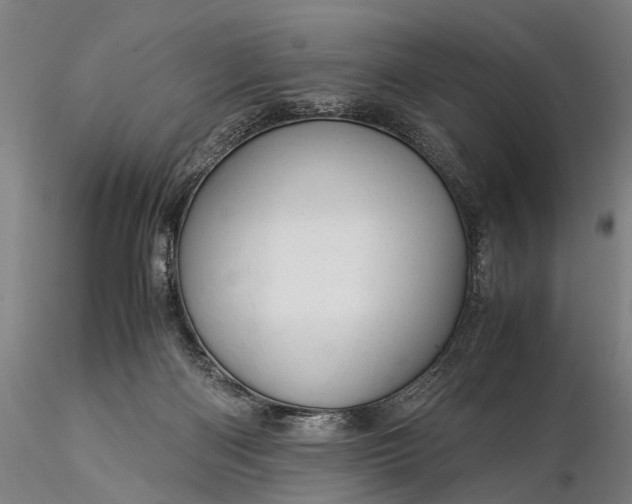 X0000116370122200912161447