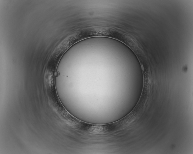 X0000116370123200912161447