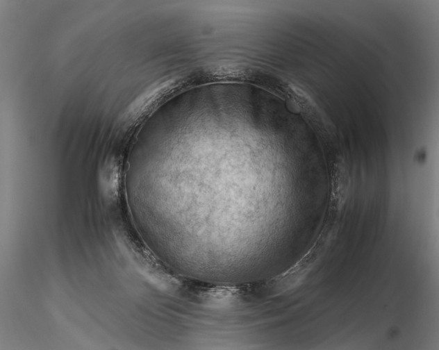 X0000116370124200912161447