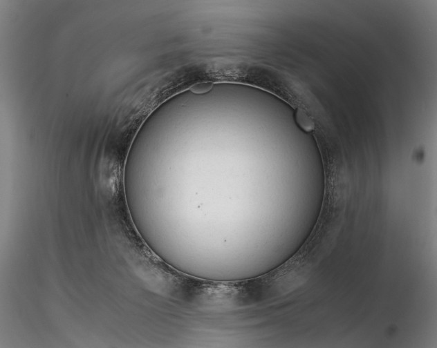 X0000116370125200912161447