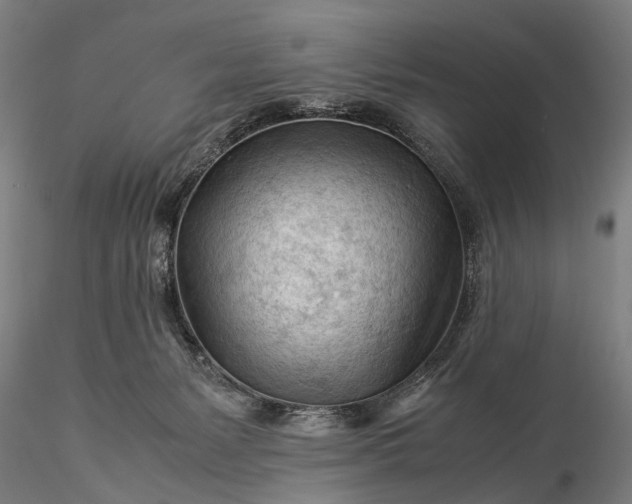 X0000116370127200912161447