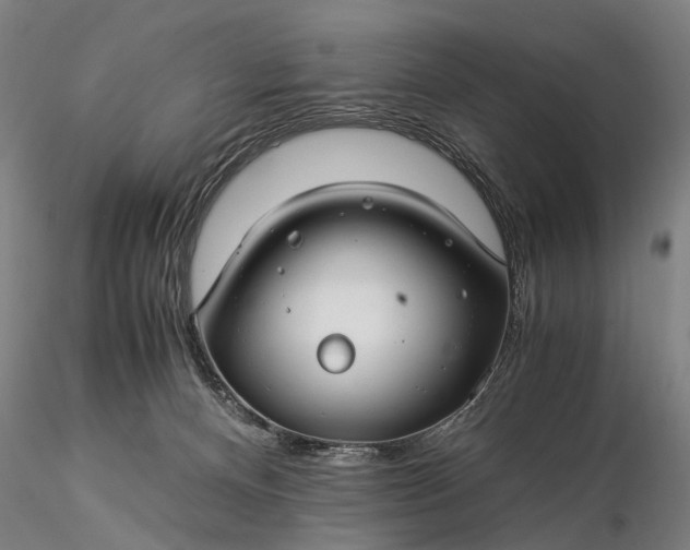 X0000116370128200912161447