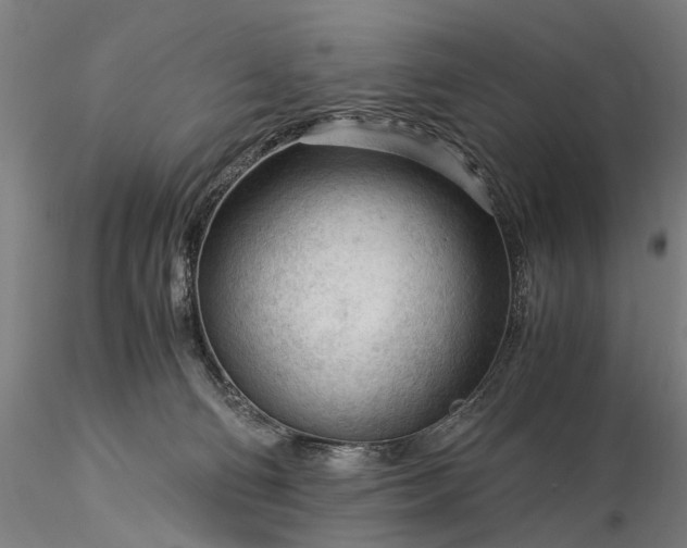 X0000116370130200912161447