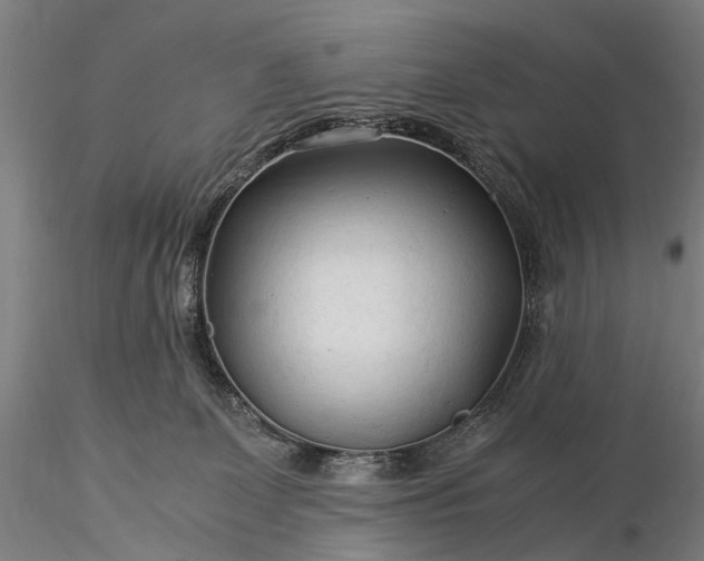 X0000116370131200912161447