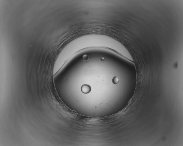 X0000116370132200912161447