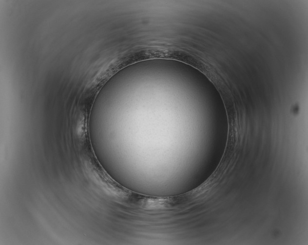 X0000116370134200912161447