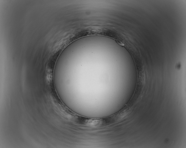 X0000116370135200912161447