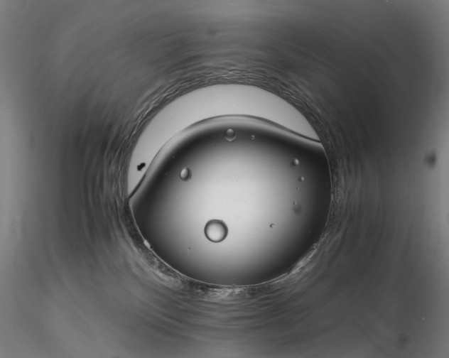 X0000116370136200912161446