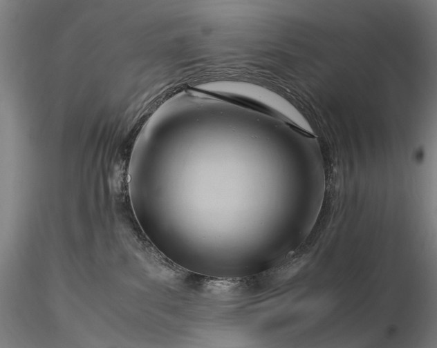 X0000116370139200912161446