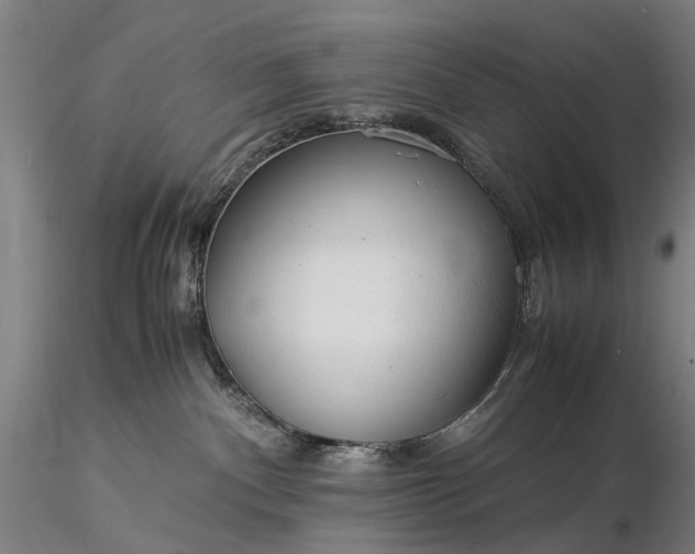 X0000116370140200912161446