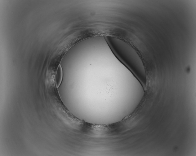 X0000116370141200912161446