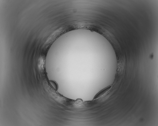 X0000116370142200912161446