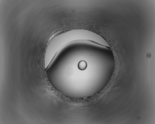 X0000116370144200912161446