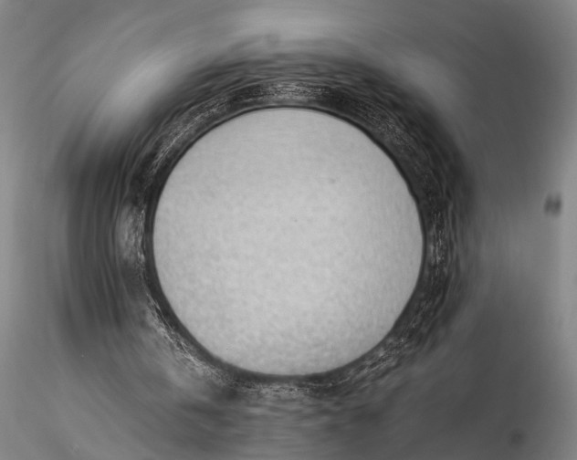 X0000116370146200912161446