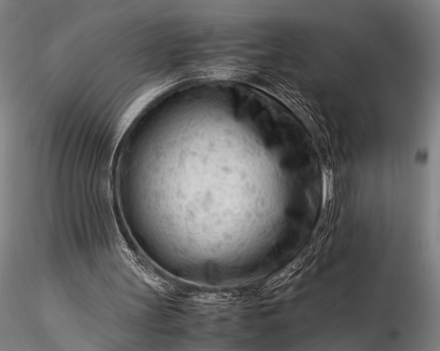 X0000116370147200912161446