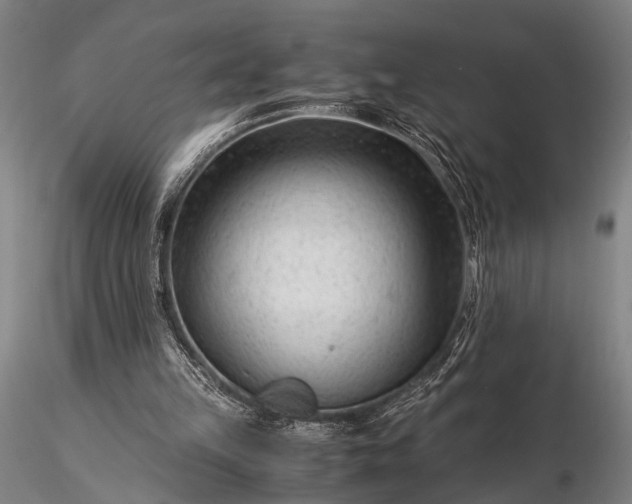 X0000116370149200912161446