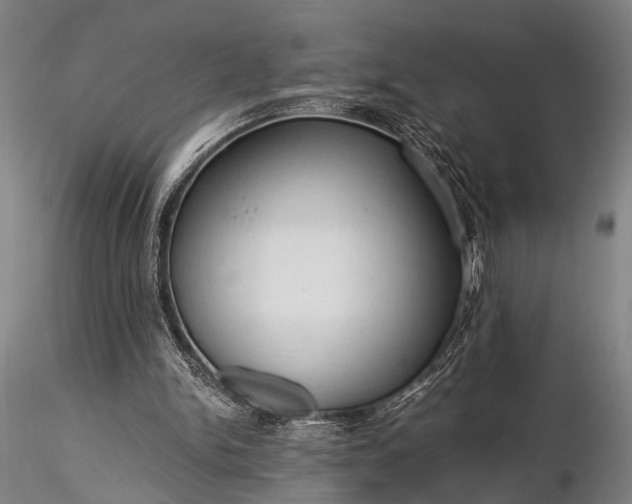 X0000116370150200912161446