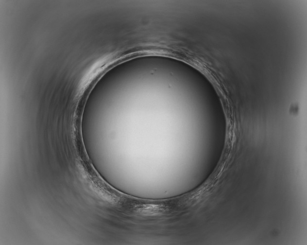 X0000116370151200912161446